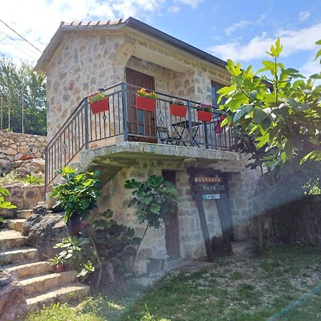 Vila Pegaz Вирпазар Екстериор снимка