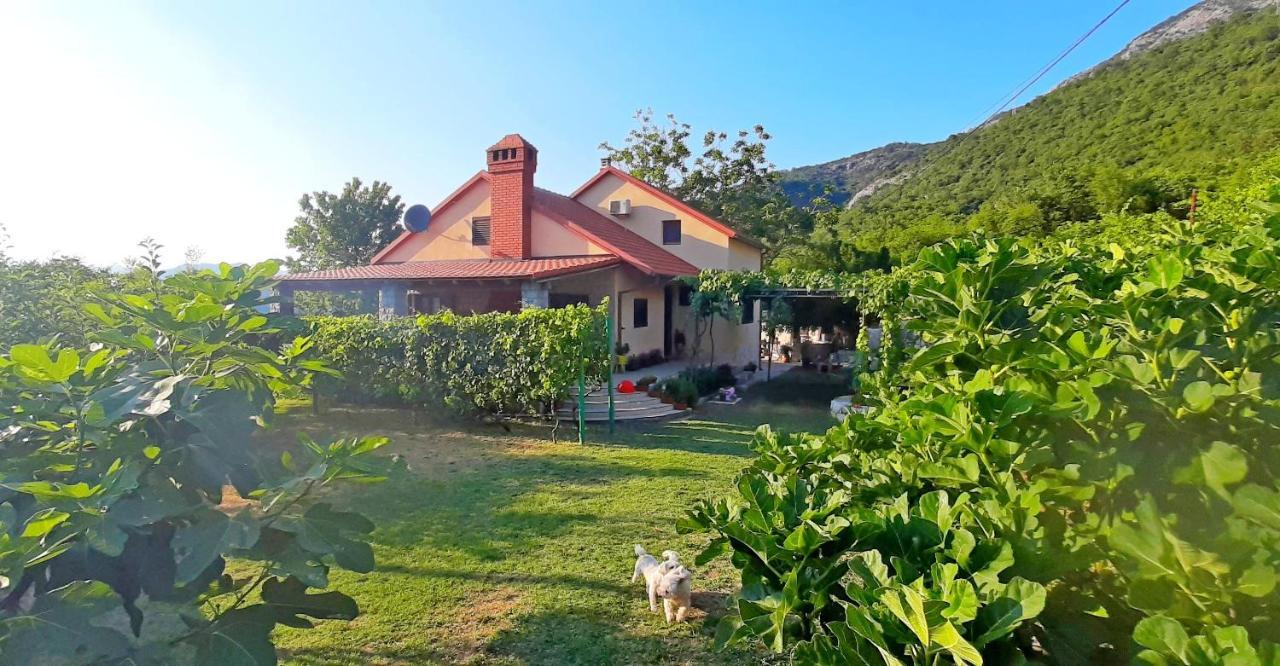Vila Pegaz Вирпазар Екстериор снимка