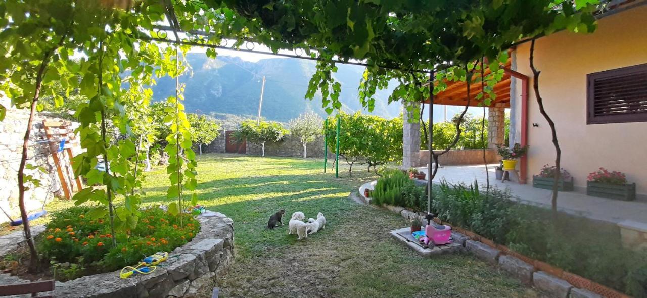 Vila Pegaz Вирпазар Екстериор снимка