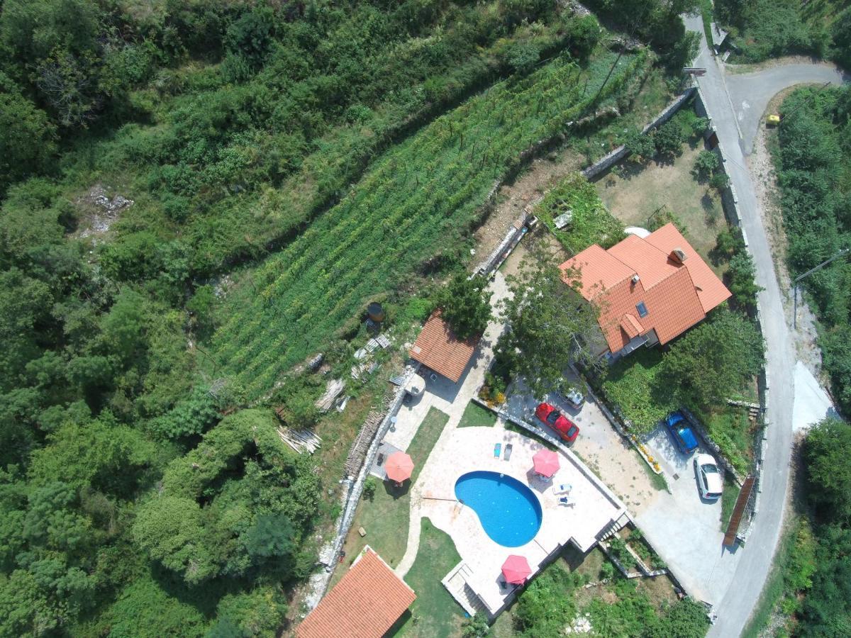 Vila Pegaz Вирпазар Екстериор снимка